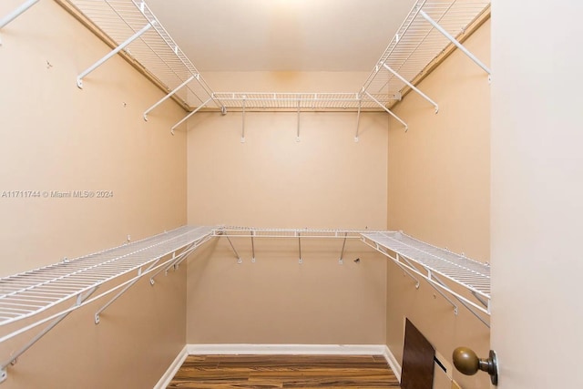 spacious closet featuring hardwood / wood-style flooring