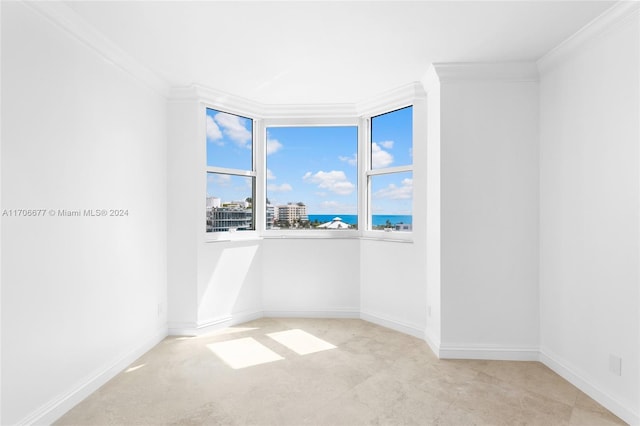 empty room with light colored carpet and ornamental molding