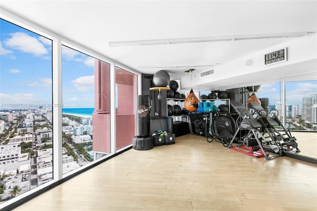 interior space with expansive windows, light hardwood / wood-style flooring, and a water view