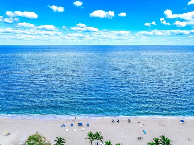 property view of water featuring a beach view