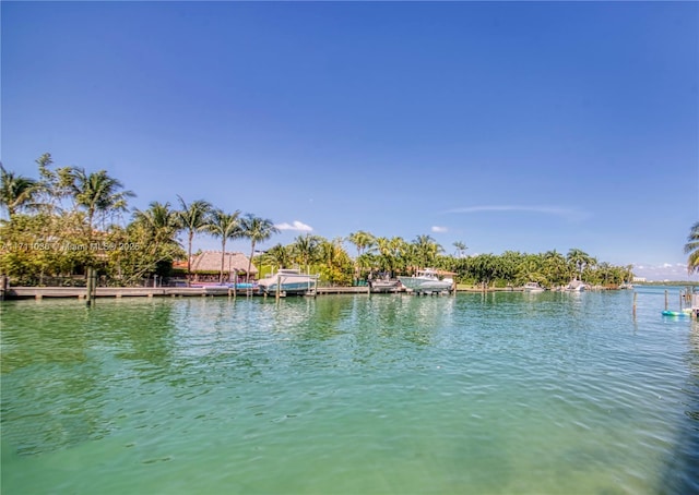 water view with a boat dock