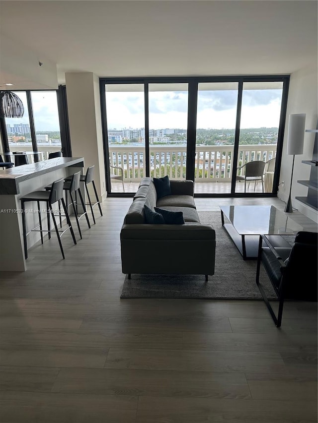 living room featuring hardwood / wood-style floors and expansive windows