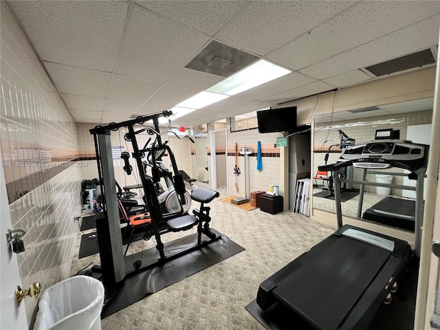 workout room featuring carpet flooring and a drop ceiling