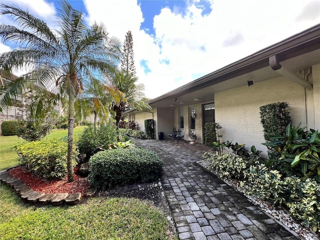 view of yard featuring a patio