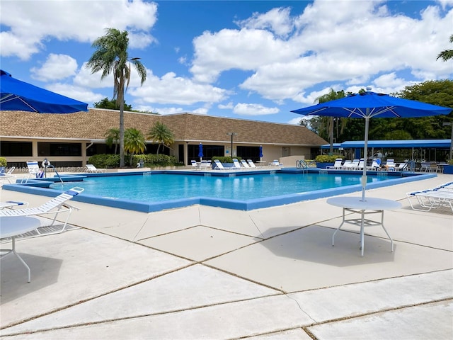 view of pool featuring a patio