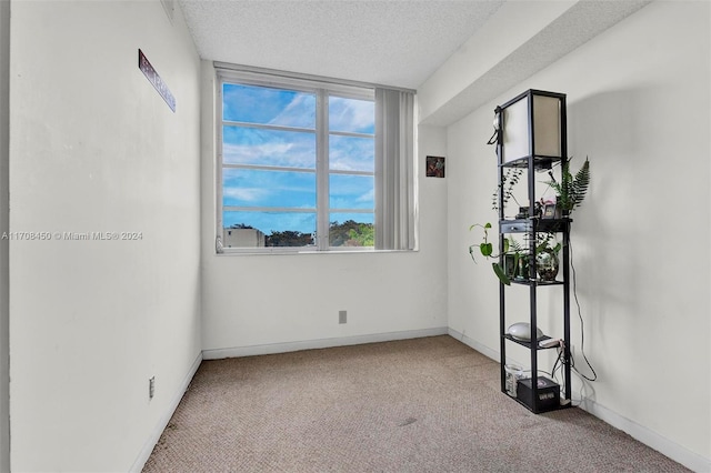 carpeted spare room with a textured ceiling