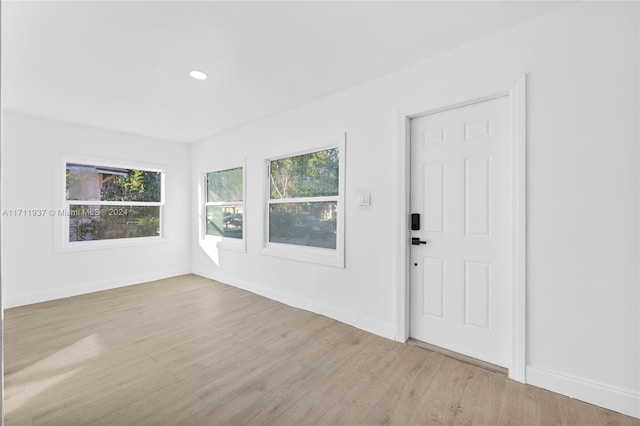 entryway featuring light hardwood / wood-style flooring and a wealth of natural light