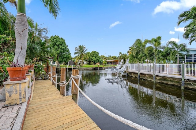 dock area with a water view