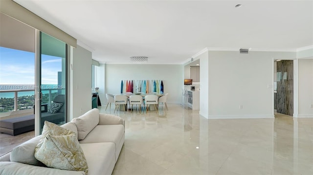 living room with ornamental molding