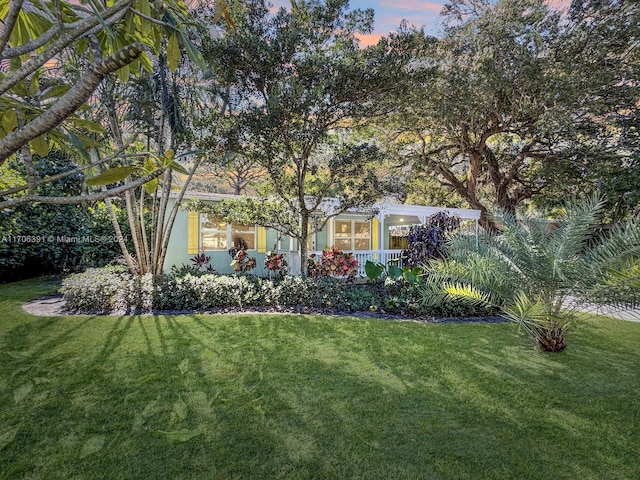 1820 SW 11th Ct, Fort Lauderdale, FL 33312 - view of green lawn