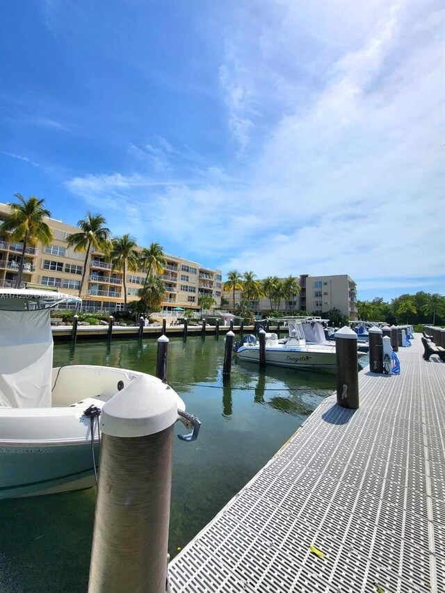 dock area with a water view