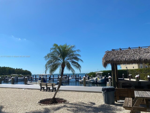 view of home's community featuring a water view and a boat dock