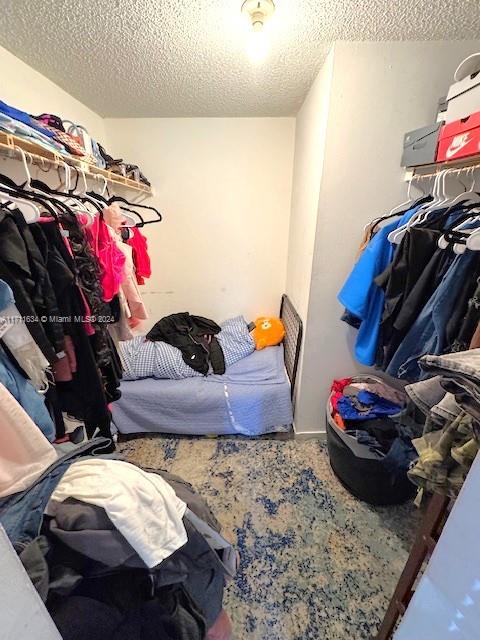 spacious closet featuring carpet floors