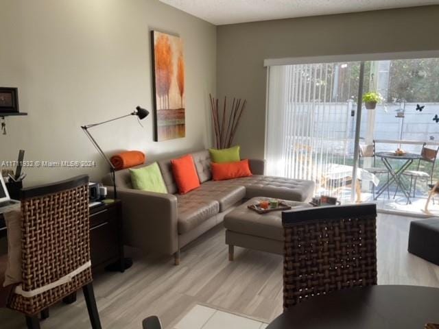 living room featuring a healthy amount of sunlight and light hardwood / wood-style floors