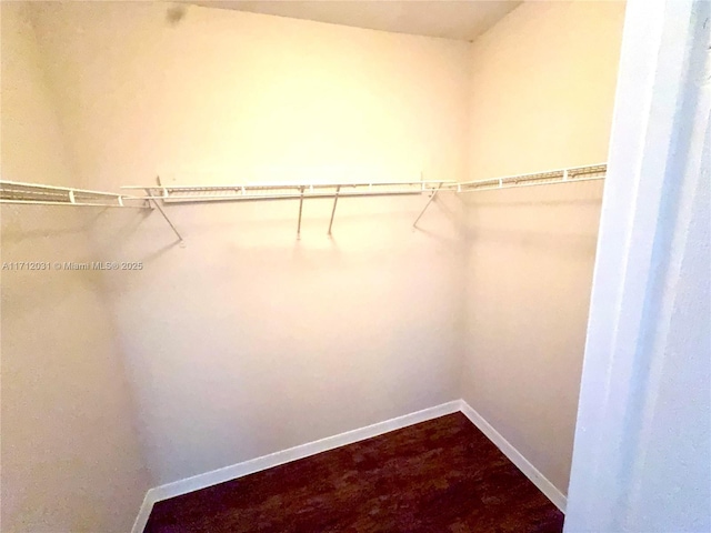 view of walk in closet