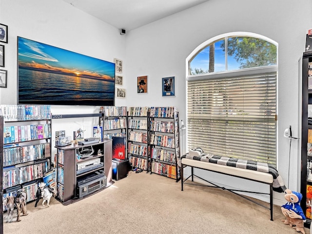 interior space with carpet