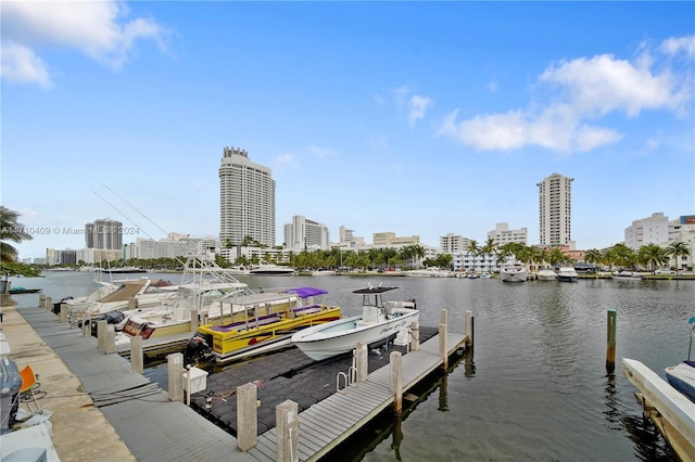 dock area featuring a water view