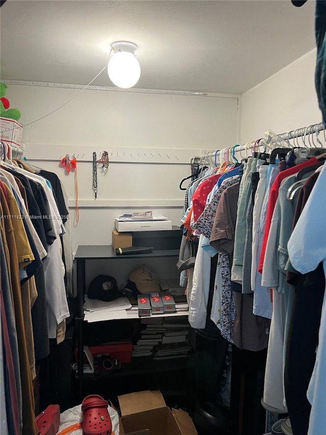 view of spacious closet