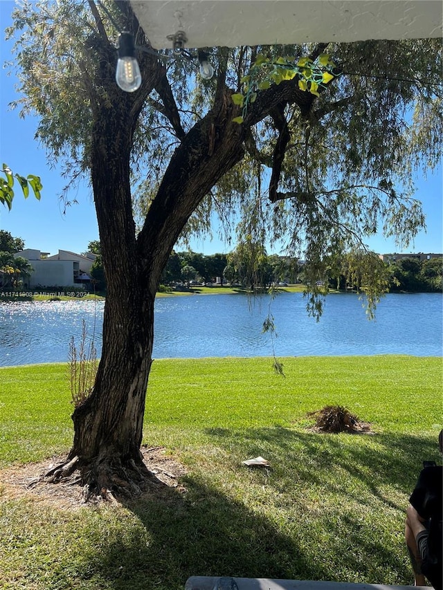 property view of water