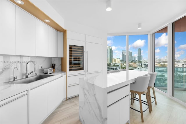 kitchen with white cabinets, a healthy amount of sunlight, and white dishwasher