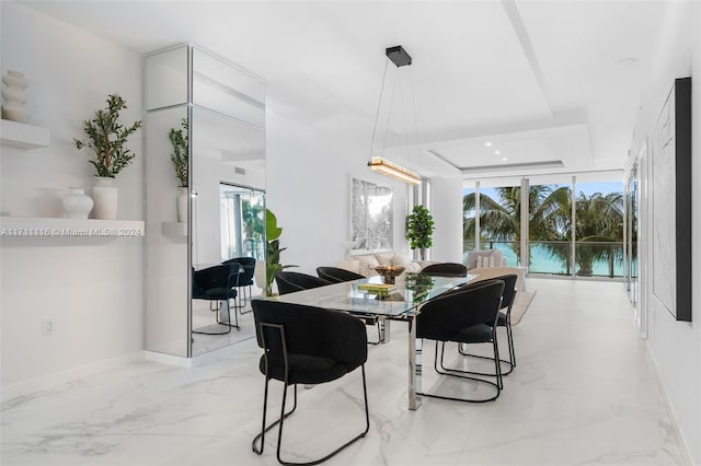 dining room with a raised ceiling and a wealth of natural light