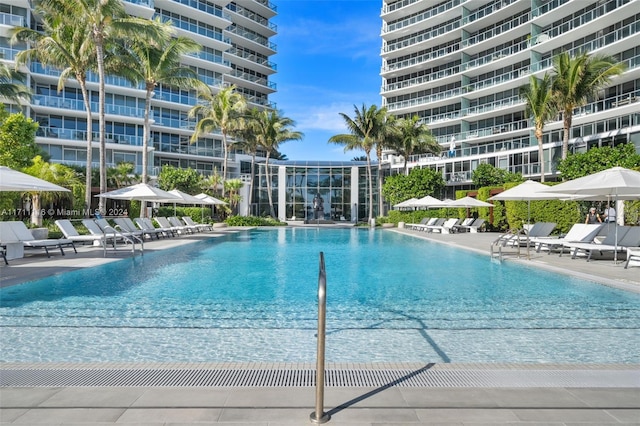 view of pool with a patio area