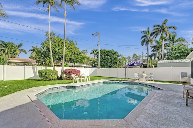 view of pool featuring a patio area and a yard