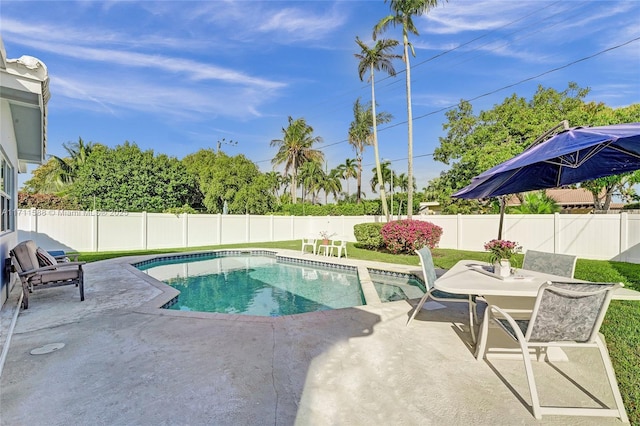 view of pool featuring a patio area and a yard