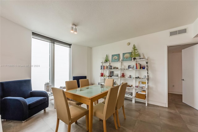 dining room with a healthy amount of sunlight and a textured ceiling