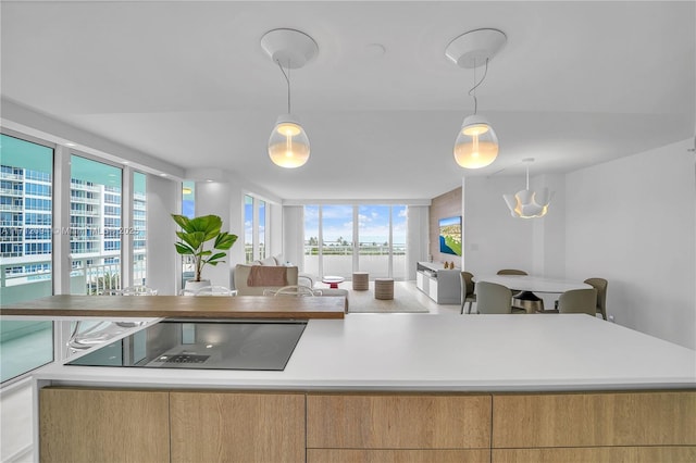 kitchen with black electric stovetop and pendant lighting