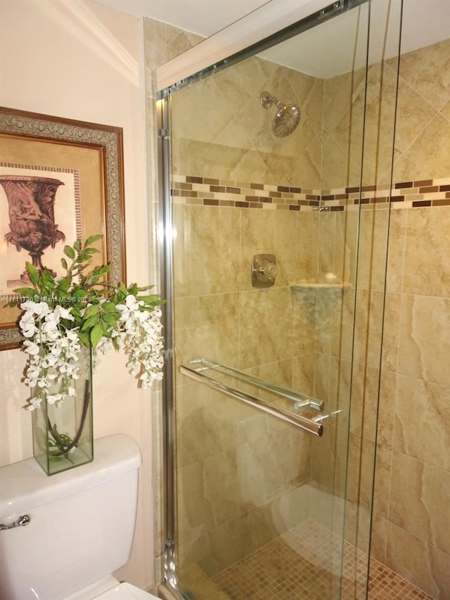 full bathroom with a shower stall and toilet