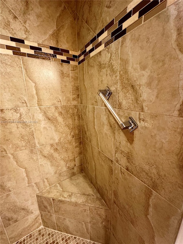 interior details featuring tiled shower