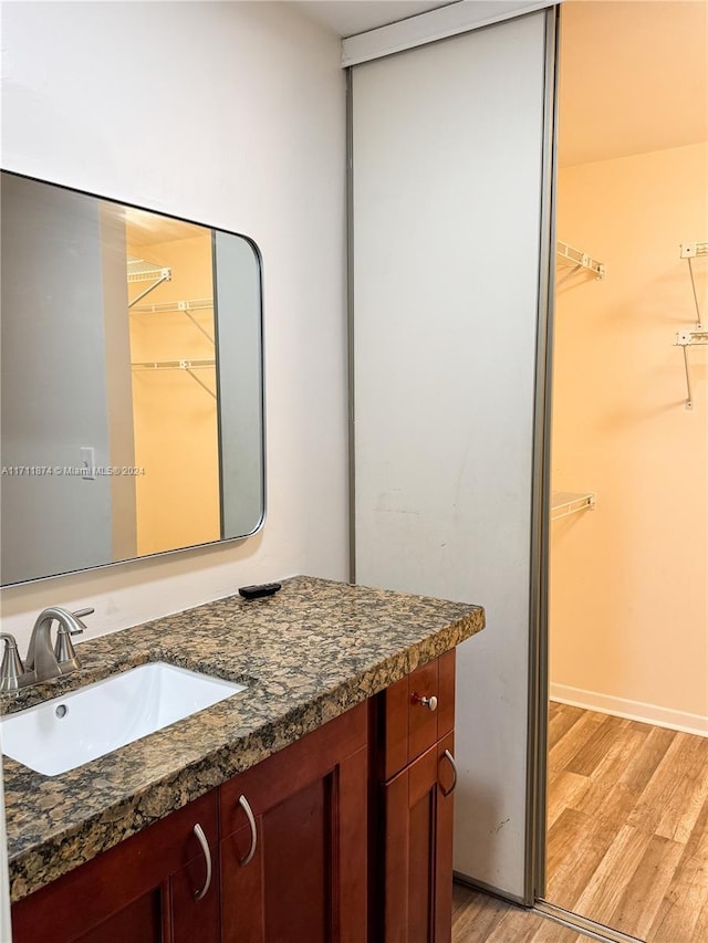 bathroom with wood-type flooring and vanity