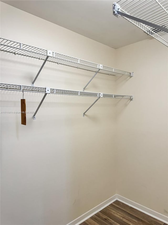 spacious closet featuring dark wood finished floors