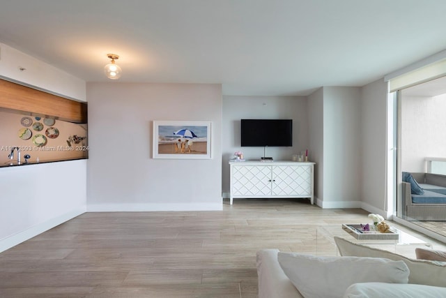 living room with light hardwood / wood-style flooring