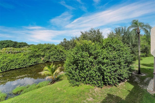 view of water feature