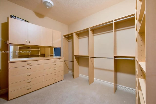 spacious closet with light colored carpet