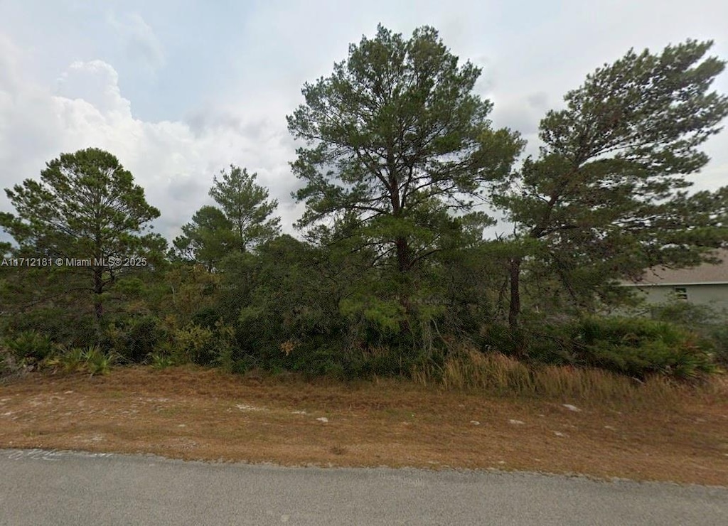 4738 San Ignacio Dr, Sebring, FL 33872 - photo 2