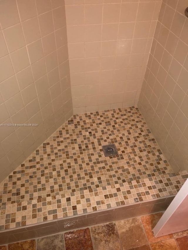 interior details featuring a tile shower