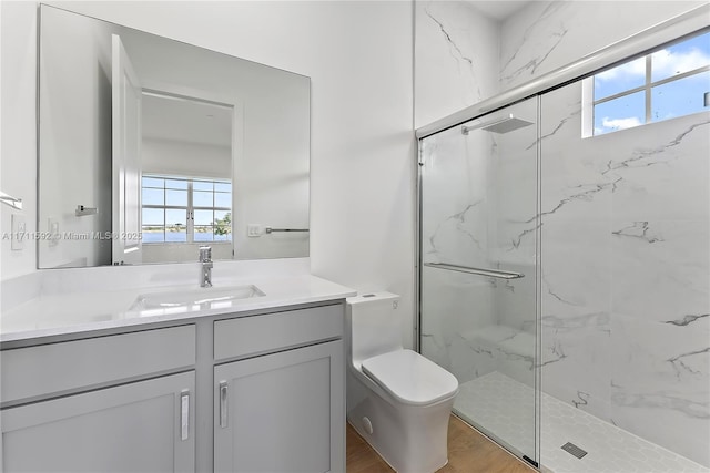 bathroom featuring hardwood / wood-style floors, vanity, toilet, and walk in shower