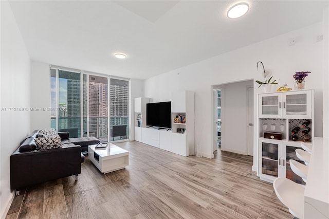 living room with light wood-type flooring