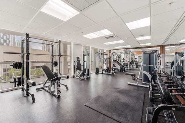 workout area featuring a paneled ceiling and floor to ceiling windows