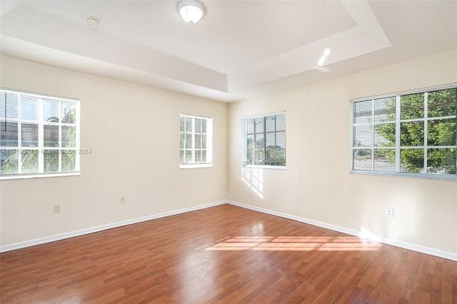 empty room featuring hardwood / wood-style flooring, a wealth of natural light, and a tray ceiling