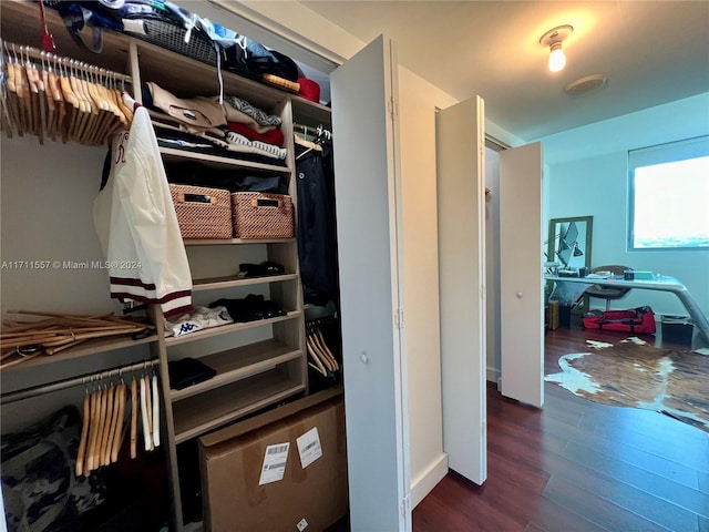 view of closet