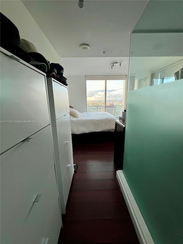 hallway with dark hardwood / wood-style flooring