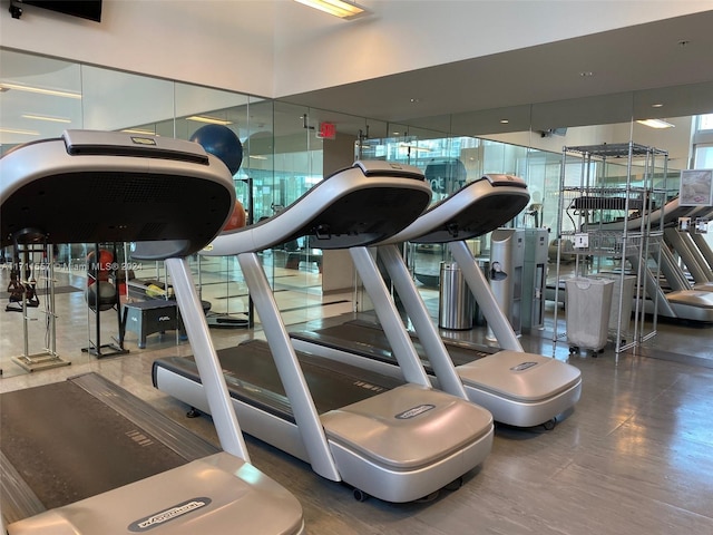 exercise room featuring dark hardwood / wood-style floors