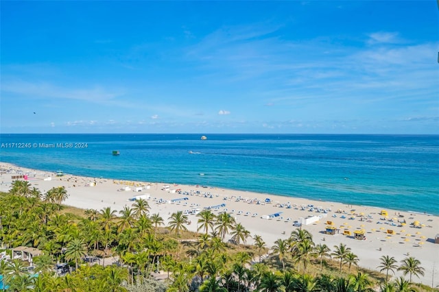 property view of water featuring a beach view