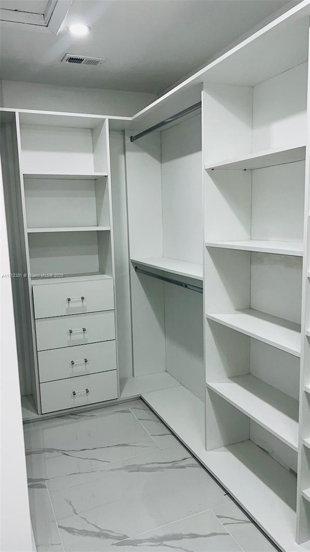 view of spacious closet