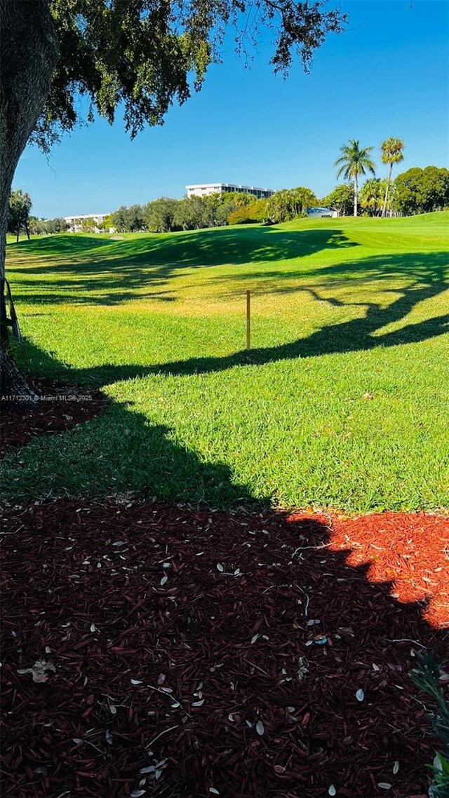 view of property's community with a lawn