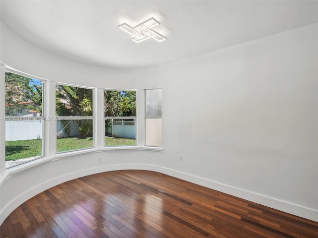 empty room with wood-type flooring and a wealth of natural light